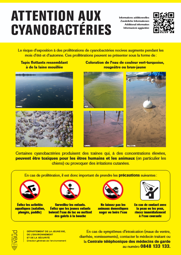 Attention_aux_cyanobactries_2026.png