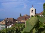 Vendanges 2009