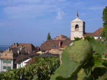 Vendanges 2009