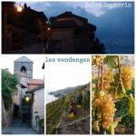 Vendanges_2016_-_Village.jpeg