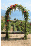 Jardin-de-la-cure---Mariage---Denisart-Arche.gif